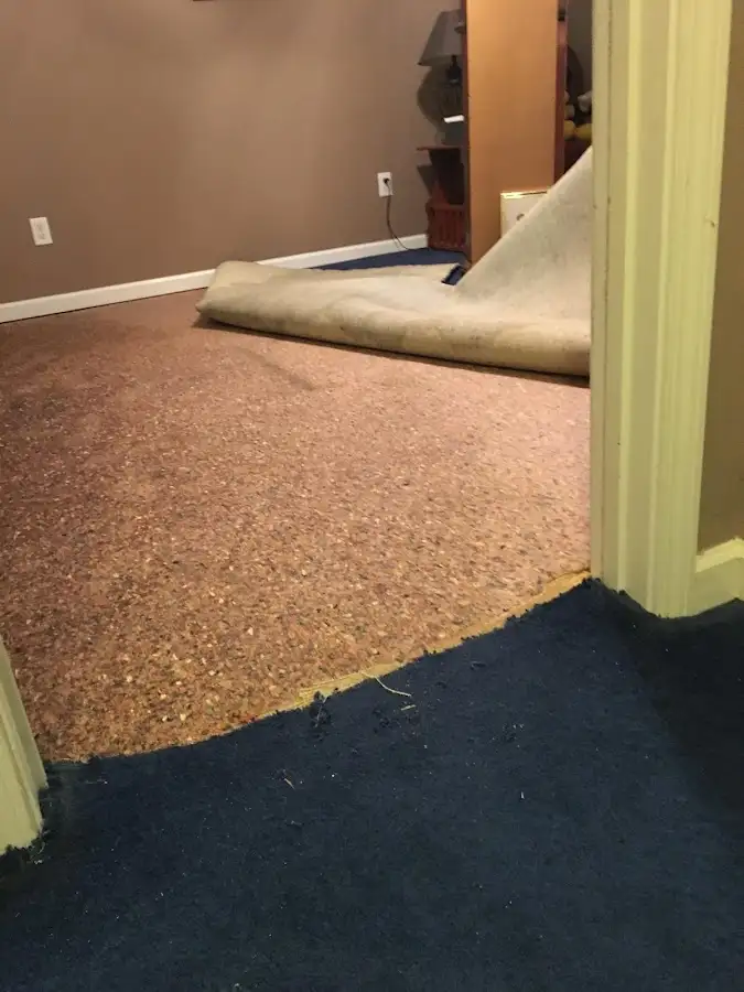 Carpet pad removal revealing water damage during Drying & Dehumidification in Maplewood