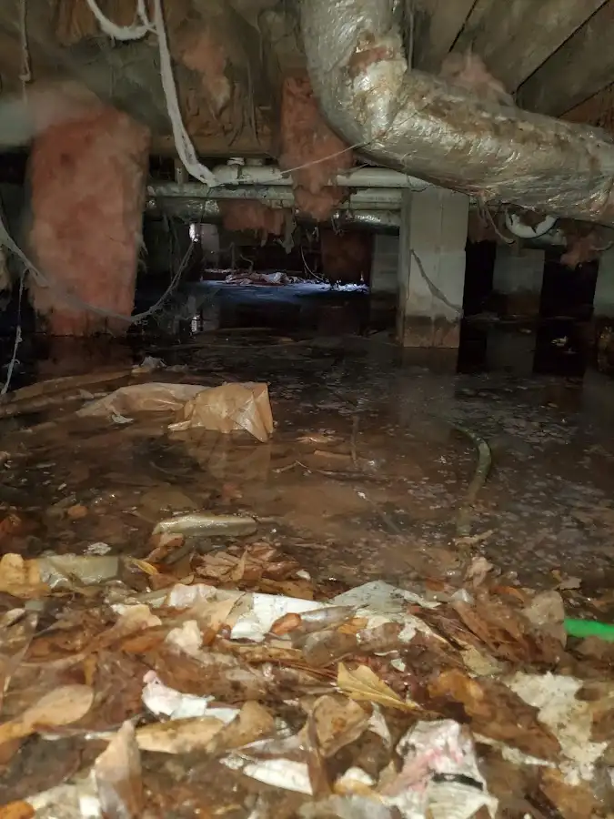 Crawl space flood assessment for Leak Detection & Repair in Maplewood